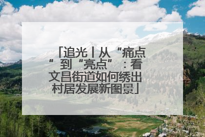 追光丨从“痛点”到“亮点”：看文昌街道如何绣出村居发展新图景