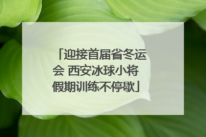 迎接首届省冬运会 西安冰球小将假期训练不停歇