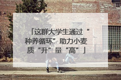 这群大学生通过“种养循环”助力小麦质“升”量“高”