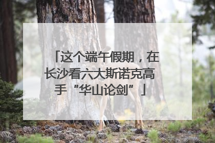 这个端午假期，在长沙看六大斯诺克高手“华山论剑”