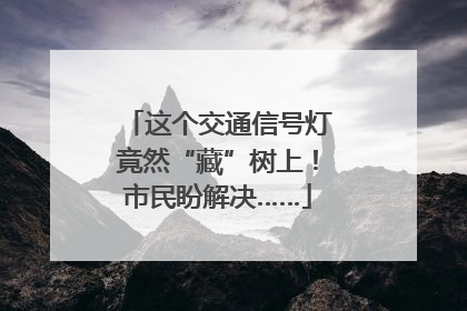 这个交通信号灯竟然“藏”树上！市民盼解决……