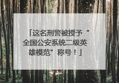 这名刑警被授予“全国公安系统二级英雄模范”称号！