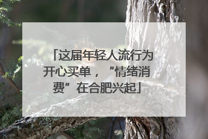 这届年轻人流行为开心买单，“情绪消费”在合肥兴起