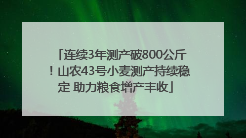 连续3年测产破800公斤！山农43号小麦测产持续稳定 助力粮食增产丰收