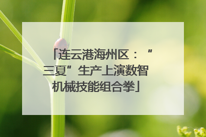 连云港海州区：“三夏”生产上演数智机械技能组合拳