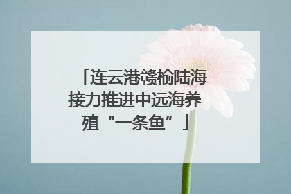 连云港赣榆陆海接力推进中远海养殖“一条鱼”