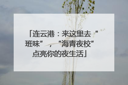 连云港：来这里去“班味”，“海青夜校”点亮你的夜生活