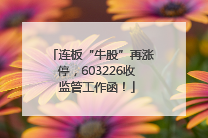 连板“牛股”再涨停，603226收监管工作函！