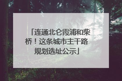 连通北仑霞浦和柴桥！这条城市主干路规划选址公示