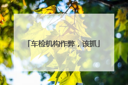 车检机构作弊，该抓