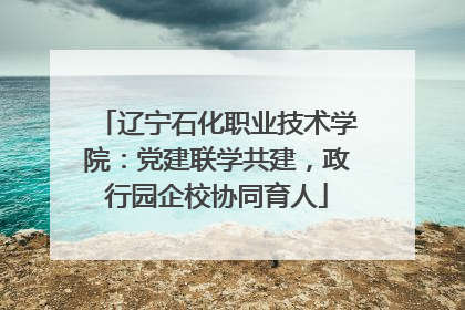 辽宁石化职业技术学院：党建联学共建，政行园企校协同育人