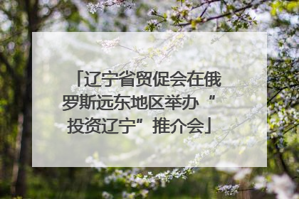 辽宁省贸促会在俄罗斯远东地区举办“投资辽宁”推介会