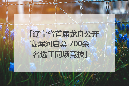 辽宁省首届龙舟公开赛浑河启幕 700余名选手同场竞技