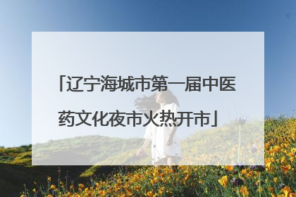 辽宁海城市第一届中医药文化夜市火热开市
