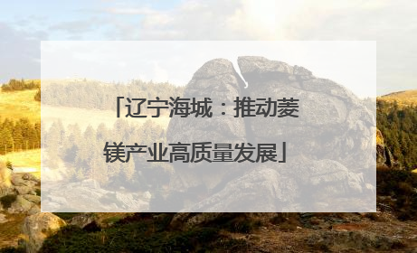 辽宁海城：推动菱镁产业高质量发展