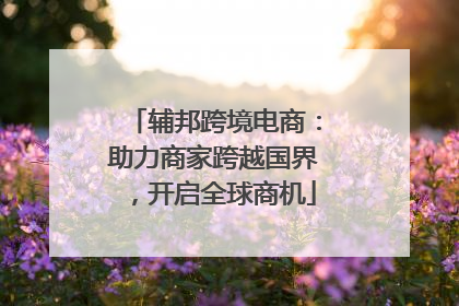 辅邦跨境电商：助力商家跨越国界，开启全球商机