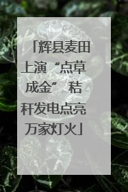 辉县麦田上演“点草成金” 秸秆发电点亮万家灯火