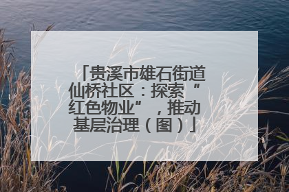 贵溪市雄石街道仙桥社区：探索“红色物业”，推动基层治理（图）