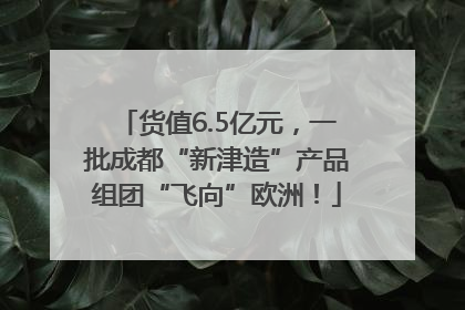 货值6.5亿元，一批成都“新津造”产品组团“飞向”欧洲！