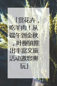赏花卉，吃羊肉！从端午到金秋，叶榭镇推出丰富文旅活动邀您爽玩