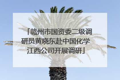 赣州市国资委二级调研员黄晓东赴中国化学江西公司开展调研