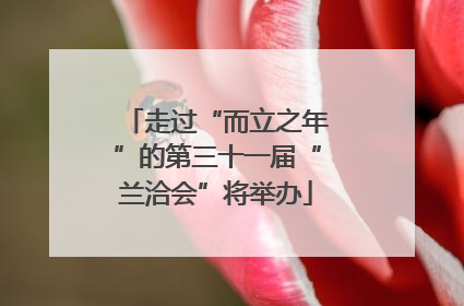 走过“而立之年”的第三十一届“兰洽会”将举办
