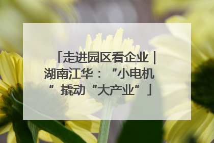 走进园区看企业｜湖南江华：“小电机”撬动“大产业”
