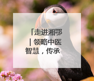 走进湘鄂｜领略中医智慧，传承医道薪火