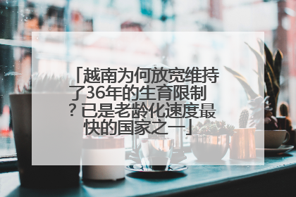 越南为何放宽维持了36年的生育限制？已是老龄化速度最快的国家之一