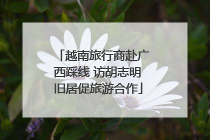 越南旅行商赴广西踩线 访胡志明旧居促旅游合作