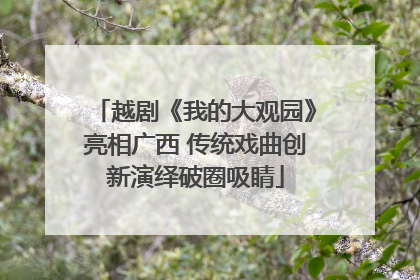 越剧《我的大观园》亮相广西 传统戏曲创新演绎破圈吸睛