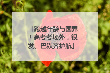 跨越年龄与国界！高考考场外，银发、巴铁齐护航