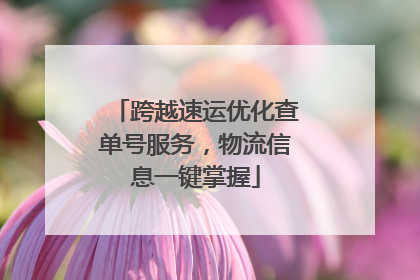 跨越速运优化查单号服务，物流信息一键掌握