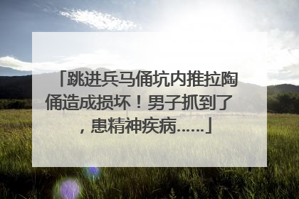 跳进兵马俑坑内推拉陶俑造成损坏！男子抓到了，患精神疾病……