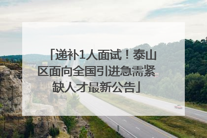 递补1人面试！泰山区面向全国引进急需紧缺人才最新公告