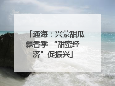 通海：兴蒙甜瓜飘香季 “甜蜜经济”促振兴