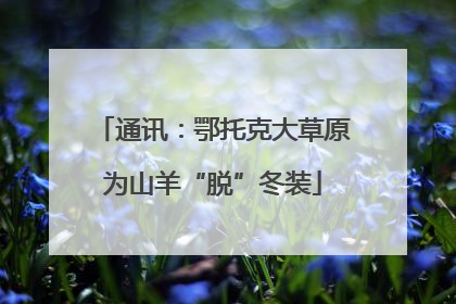 通讯：鄂托克大草原为山羊“脱”冬装
