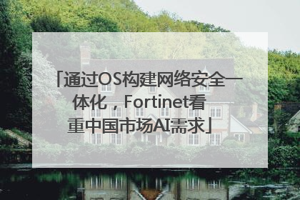 通过OS构建网络安全一体化，Fortinet看重中国市场AI需求