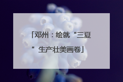 邓州：绘就“三夏”生产壮美画卷