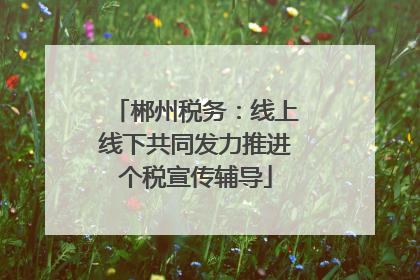 郴州税务：线上线下共同发力推进个税宣传辅导