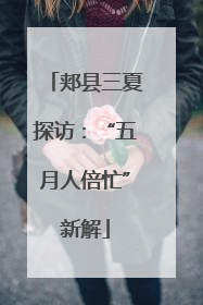 郏县三夏探访：“五月人倍忙”新解