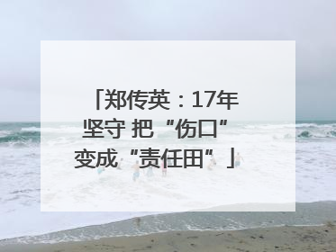 郑传英：17年坚守 把“伤口”变成“责任田”