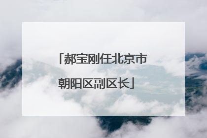 郝宝刚任北京市朝阳区副区长