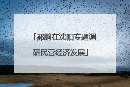 郝鹏在沈阳专题调研民营经济发展