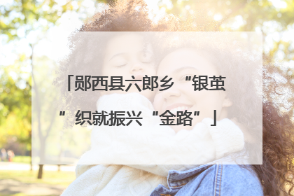 郧西县六郎乡“银茧”织就振兴“金路”