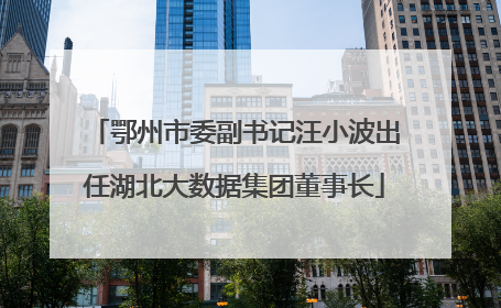 鄂州市委副书记汪小波出任湖北大数据集团董事长