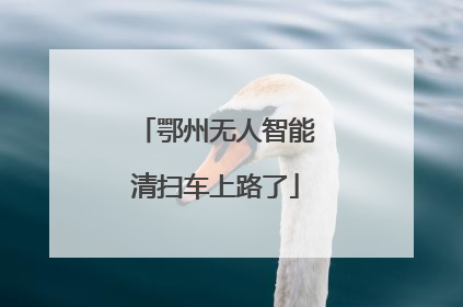 鄂州无人智能清扫车上路了