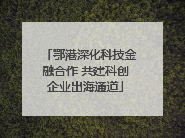 鄂港深化科技金融合作 共建科创企业出海通道