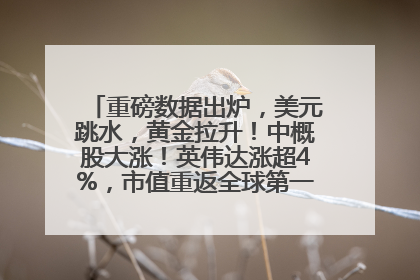 重磅数据出炉，美元跳水，黄金拉升！中概股大涨！英伟达涨超4%，市值重返全球第一！黄仁勋计划出售至多600万股股票