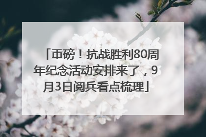 重磅！抗战胜利80周年纪念活动安排来了，9月3日阅兵看点梳理
